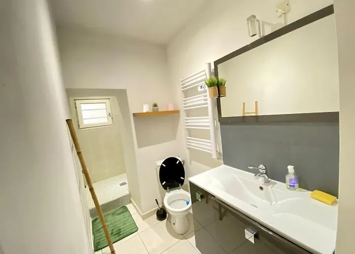 T1 Au Coeur De Apartmán